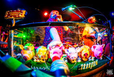 OLYMPUS DIGITAL CAMERA